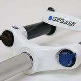 HORQUILLA SUNTOUR 29 X1 DS LO-R 100MM WH