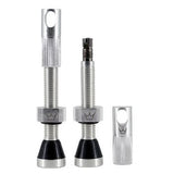 VALVULAS PEATY'S CHRIS KING 42MM PLATA